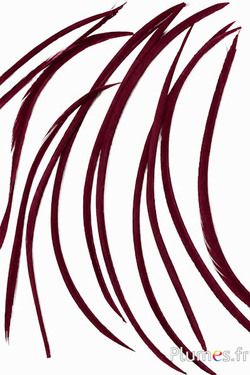 Gans - 10-17 cm - bordeaux
